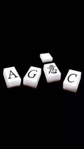 Agic Logo